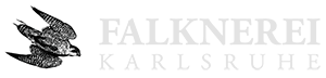 Falknerei Karlsruhe